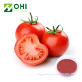 Tomato Fruit Juice powder